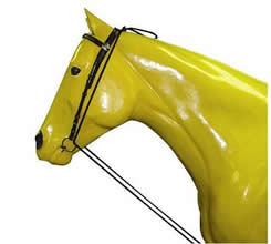 Click Here to View English Training Equipment!