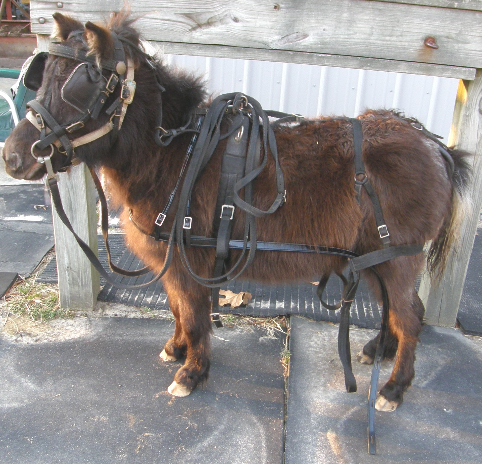 Click Here to View Driving Equipment!