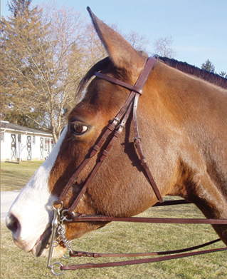 Legacy Weymouth Work Bridle Full Bridle Double Bridle Dressage Bridlle English Bridle with Snaffle & Curb Reins Horse Black