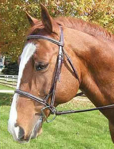 Legacy Premium Fancy Stitched Round Raised English Bridle Snaffle Bridle Laced Reins Havana Brown O/S XL Horse