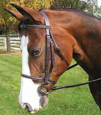 Legacy Premium Plain Round Raised English Bridle Snaffle Bridle Laced Reins Havana O/S XL Horse