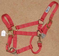 Hamilton Adjustable Halter Nylon Halter with Throat Snap Horse Red
