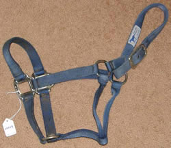 Heavy Duty Nylon Halter Average Horse Halter Blue