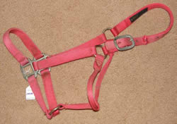 BMB Halter Nylon Halter Heavy Duty Halter M Horse Red