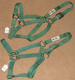 Weaver Halter Nylon Halter Horse Halter Green