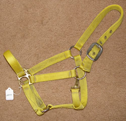Ronmar Heavy Duty Nylon Halter with Throat Snap Horse Halter Yellow