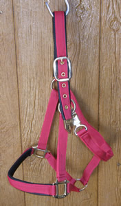 Tough-1 Lined Nylon Halter with Throat Snap Horse Halter Black Blue