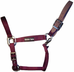 Unbridled Equine Deluxe Breakaway Halter Adjustable Nylon Halter with Throat Snap Cob Horse Halter Royal Blue Lt Blue Burgundy Purple Lt Pink