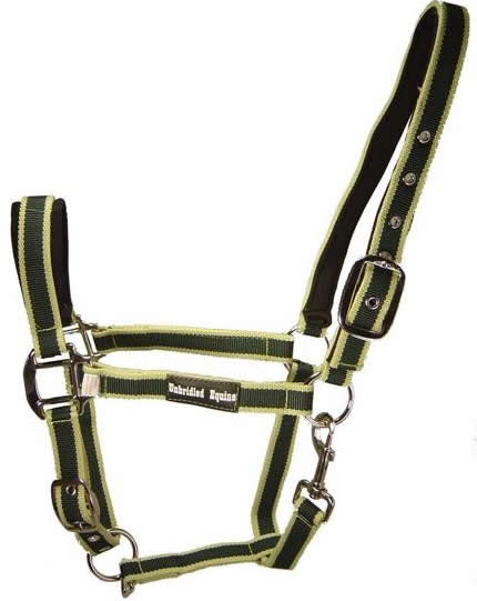 Unbridled Equine Two Tone Striped Neoprene Padded Nylon Halter Adjustable Cob Horse Halter with Throat Snap Purple/Pink Royal Blue/Lt Blue Navy Blue/Brown Hunter Green/Lt Green Raspberry/Pink