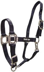 Unbridled Equine 1&rdquo; Deluxe Adjustable Nylon Halter Cob Horse Nylon Halter with Throat Snap Lt Blue Navy Blue Pink