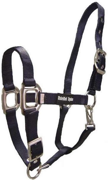 Unbridled Equine 1” Deluxe Adjustable Nylon Halter Cob Horse Nylon Halter with Throat Snap Lt Blue Navy Blue Pink