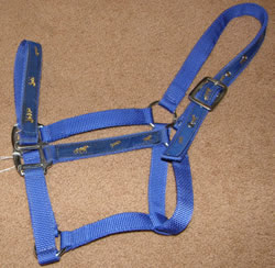 Fancy Trim Horse Print Nylon Halter Horse Halter Blue
