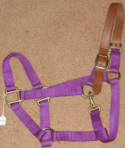 Weaver? Breakaway Halter Nylon Safety Halter Leather Crown with Throat Snap Horse Halter Purple