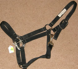 Nylon Halter with Throat Snap Horse Halter Black