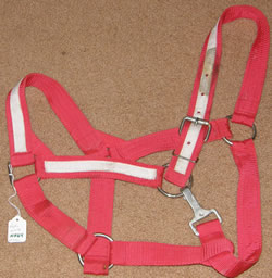 Draft Horse Halter Nylon with Throat Snap Halter Red/White