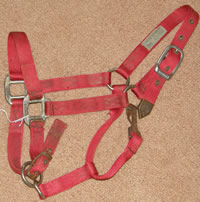 Hamilton Adjustable Halter Nylon Halter with Throat Snap Horse Halter Red