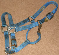 Hamilton Adjustable Halter Nylon Halter with Throat Snap Horse Halter Blue