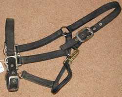 Valhoma Horse Adjustable Nylon Halter with Throat Snap Horse Halter Black