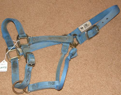 Weaver Original Adjustable Chin and Throat Snap Halter 1" Average Horse Nylon Halter Blue