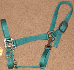 Horse Adjustable Nylon Halter with Throat Snap Green
