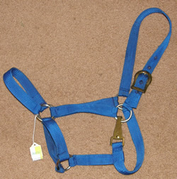 Economy Nylon Halter with Throat Snap Horse Halter Blue