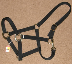 Nylon Halter with Throat Snap Horse Halter Black