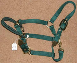 Nylon Training Halter Nose Pressure Nose Control Halter Dually Training Halter M Horse Hunter Green