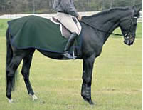 Saratoga Horseworks PolarTec 200 Exercise Rug Polar Fleece Quarter Sheet Horse Green/Navy Blue