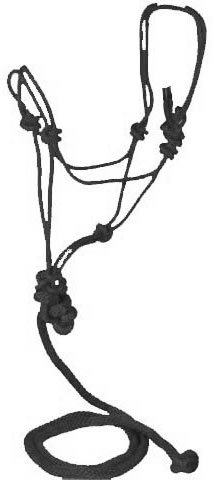 DuMor Poly Tied Rope Halter Knotted Rope Halter & Lead Rope Average Horse Black