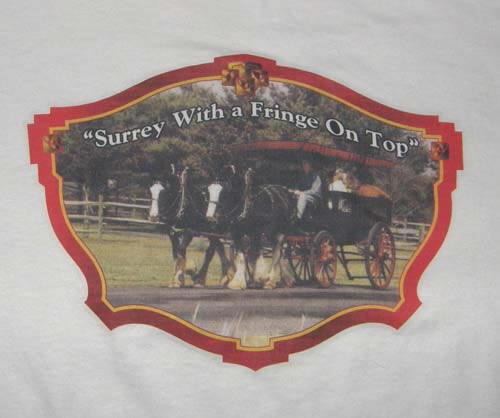 Clydesdale Draft Horse T-Shirt, Horse Tee Shirt