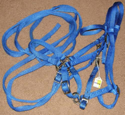 Fabtron Nylon Halter Bridle Combo Western Headstall Trail Bridle Snap On Cheeks Blue Horse