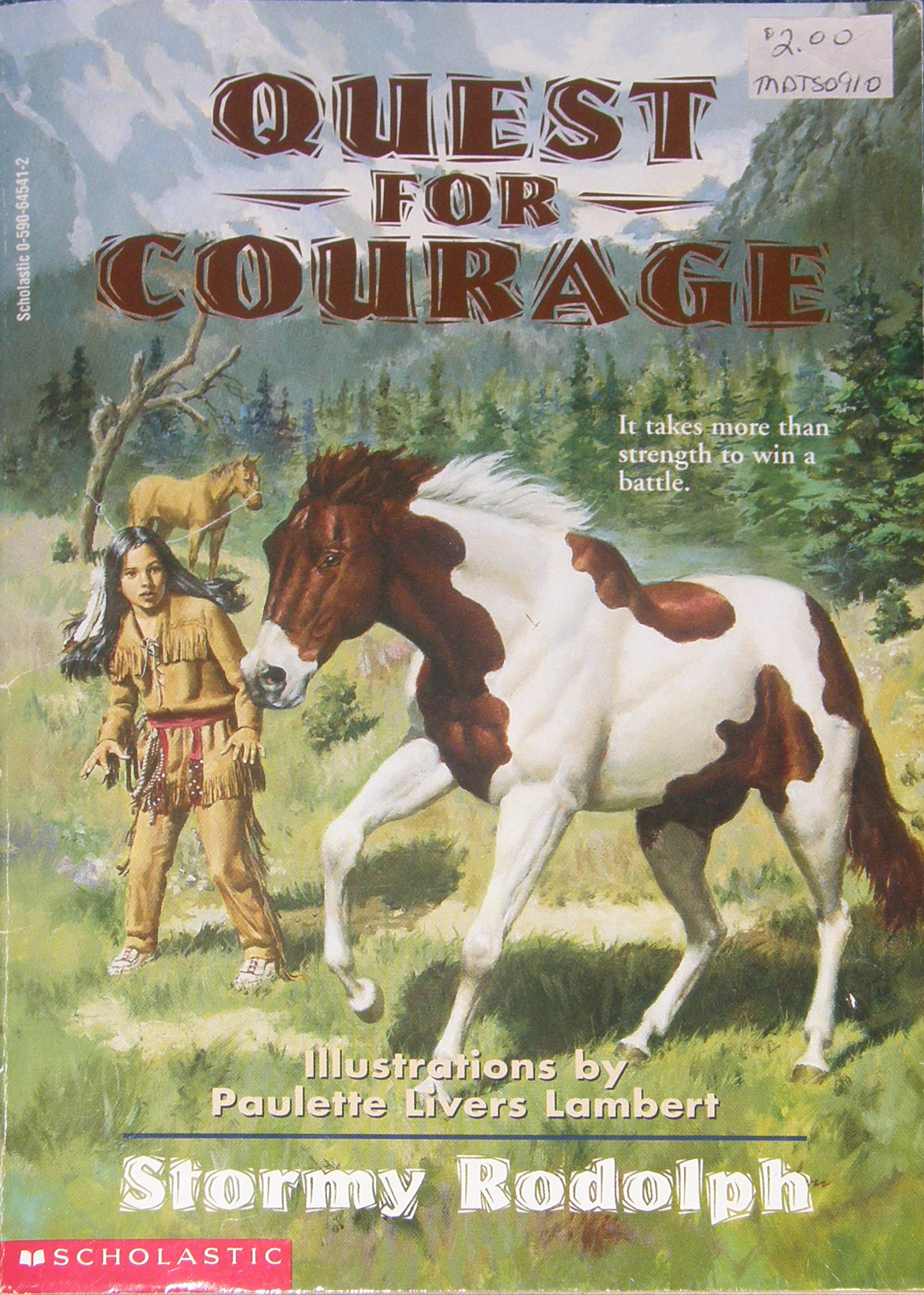 Quest For Courage Horse Book by Stormy Rodolph