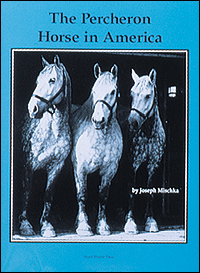 The Percheron Horse in America Vintage Draft Horse Book By Joseph Mischka