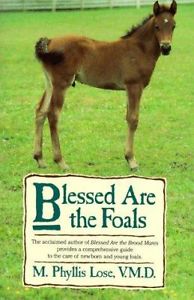 Blessed Are The Foals Vintage Horse Breeding Foaling Book By M. Phyllis Lose, VMD