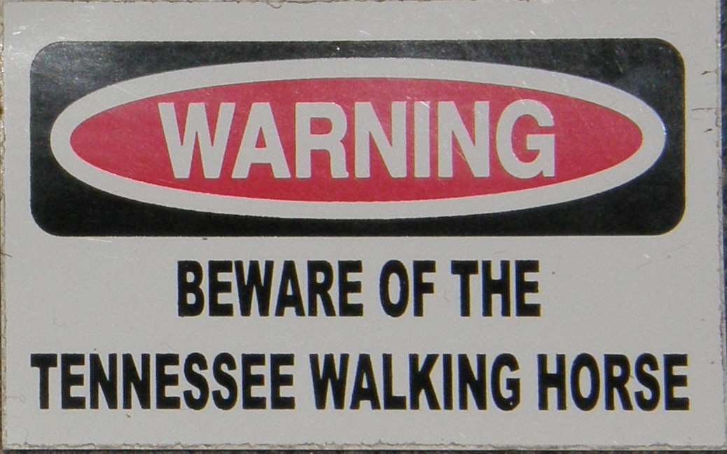 Decal Warning Sticker Warning Beware Of The Tennessee Walking Horse TWH