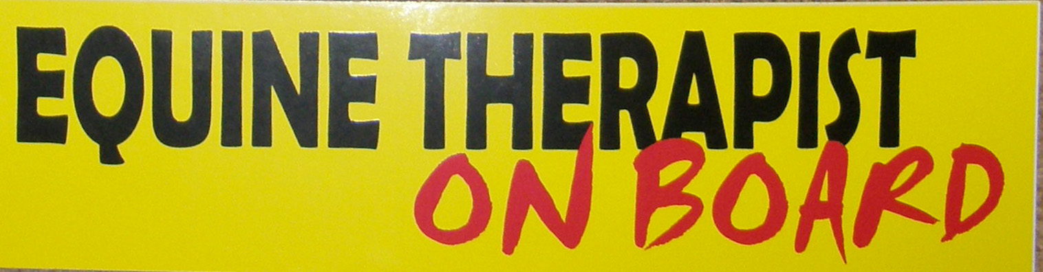 Horse Bumper Sticker Equine Therapist On Board