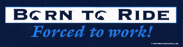Born to Ride Forced to Work Bumper Sticker