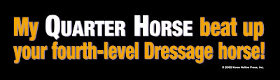 My Quarter Horse beat up your 4th level dressage horse Bumper Sticker