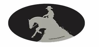 Reiner Reining Horse Sticker Helmet Laptop Cell Phone Small Oval Decal Sticker