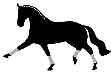 Window Decal Sticker Extended Trot Dressage Horse Spanish Walk