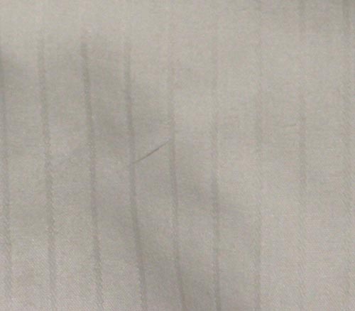 Van Teal Long Sleeve English Show Shirt Ratcatcher LS Ladies 16 White Tone On Tone