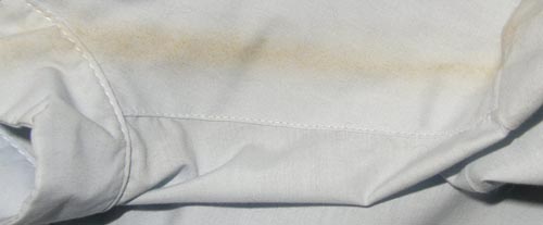 Devon Aire Concour Short Sleeve English Show Shirt Ratcatcher Riding Shirt Ladies 36 Lt Blue