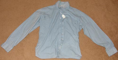 Dublin Long Sleeve English Show Shirt Ratcatcher LS Ladies 18/44 Blue Stripe