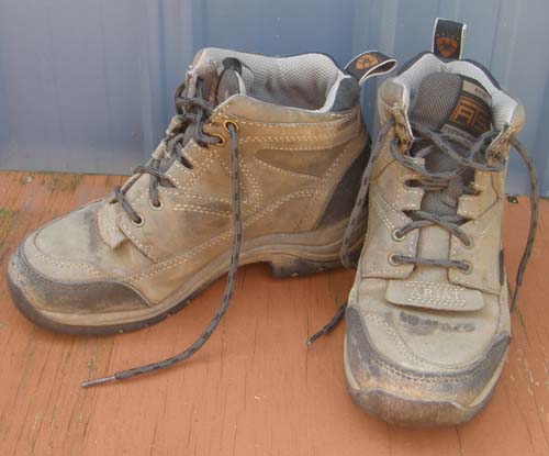 Ariat Terrain Waterproof Paddock Boots Riding Sneakers Riding Boots Ladies 5 1/2B