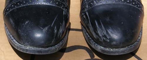 Devon Aire Nouvelle Zip Back Field Boots Tall Leather English Boots Riding Boots Ladies 10 Regular Calf