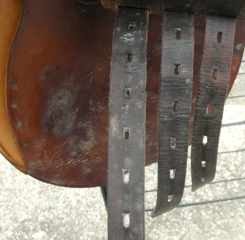 16 1/2" - 17" N Pessoa Close Contact All Purpose Jumping Saddle English Saddle