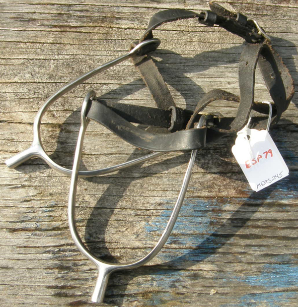 English Spurs POW Spurs Prince Of Wales Spurs with Black Leather Spur Straps