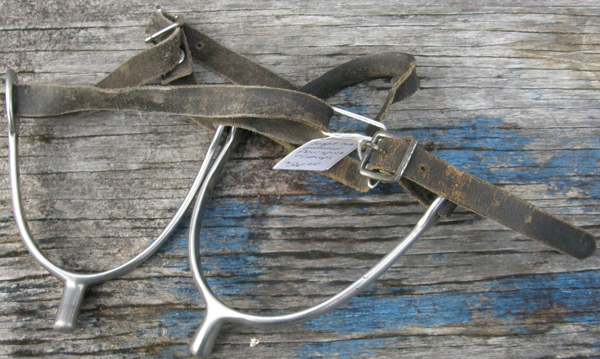 English Spurs POW Spurs Prince Of Wales Spurs with Black Leather Spur Straps