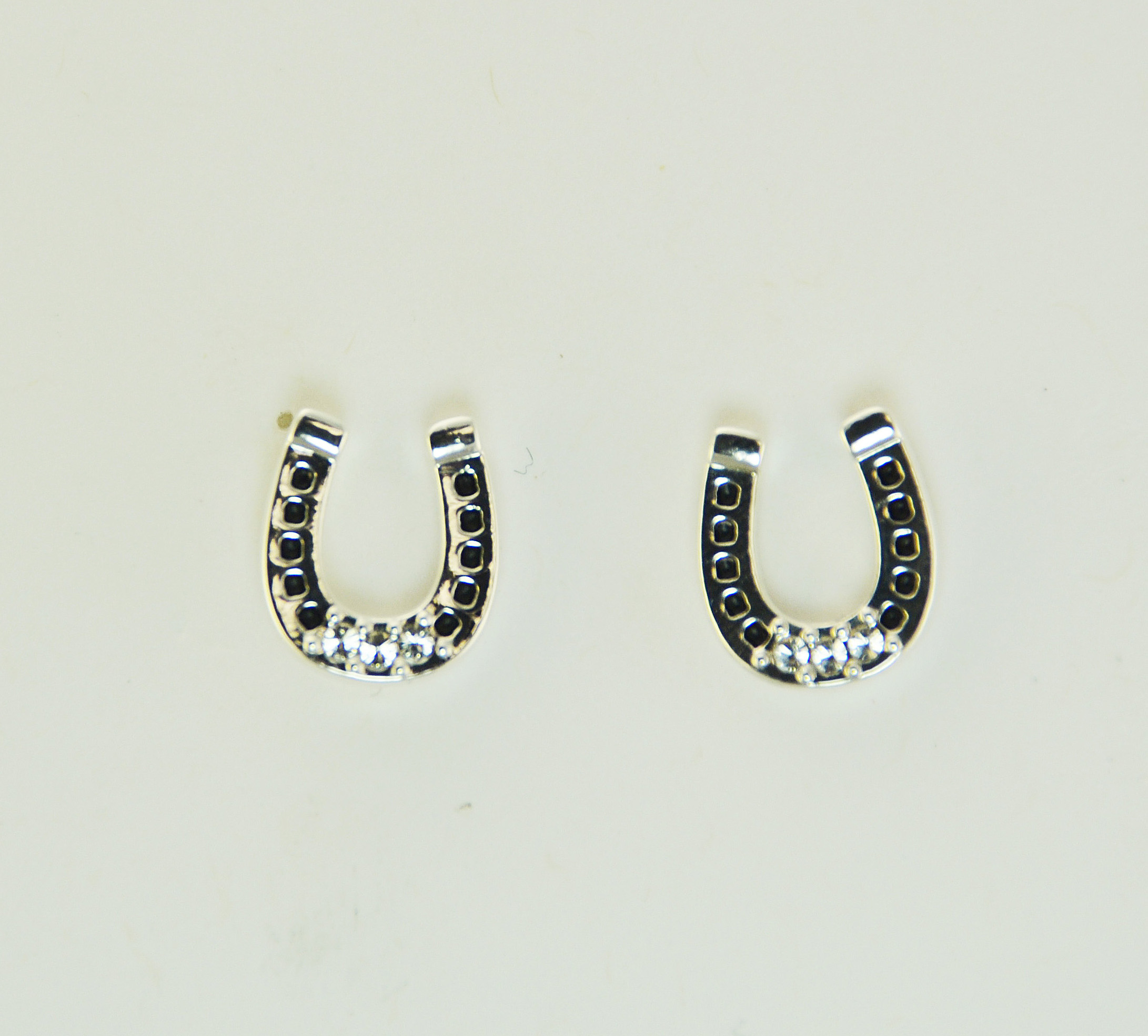 Western Edge Crystal Stone Horse Shoe Earrings Silver Plate Crystal Stone Horseshoe Pierced Earrings