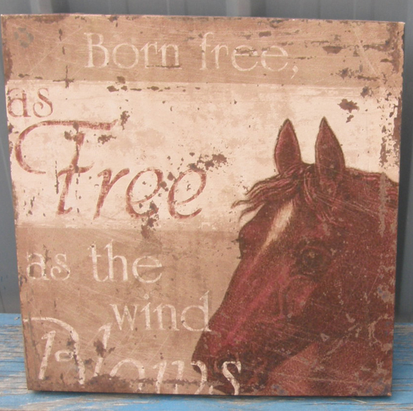 Born Free Western Horse Canvas Wall Art Western Themed Artwork Plaque Sign Wall Art Western Home Decor